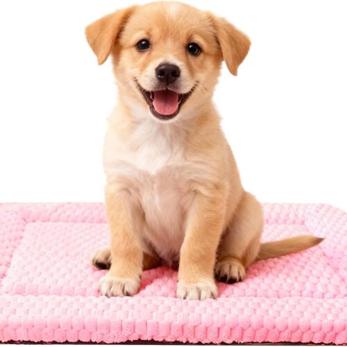 Dog mat