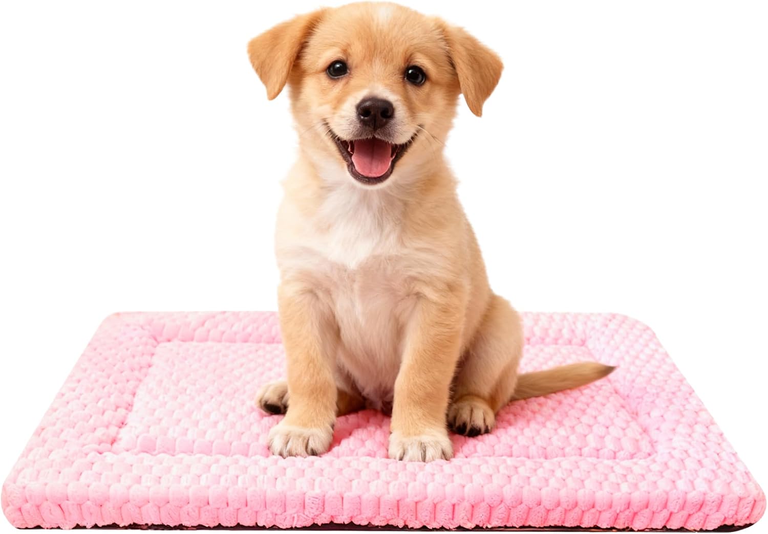 Dog mat
