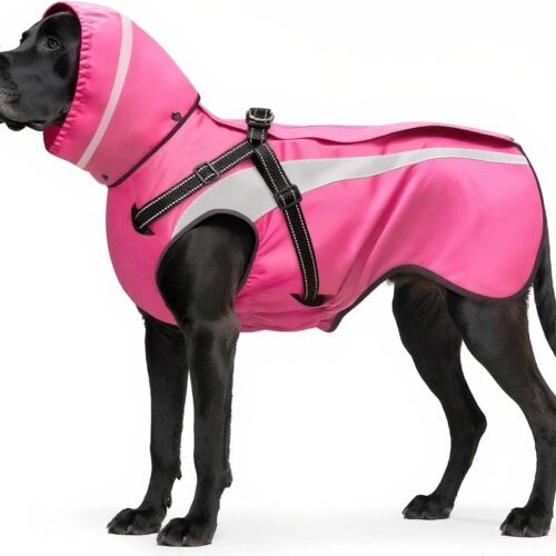 Hooded Rain Poncho for Small Medium Dogs