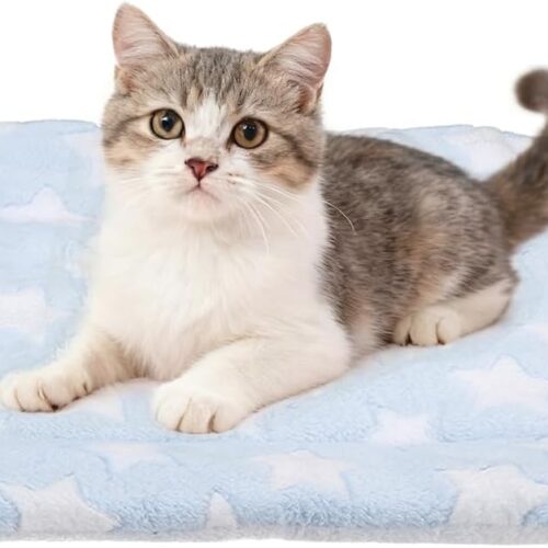 Dual-purpose cat and dog mat