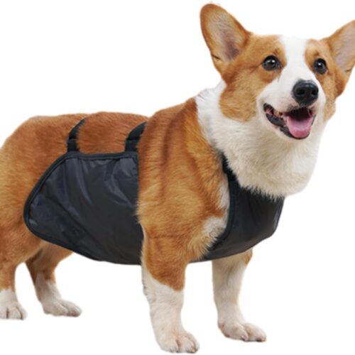 Breathable Corgi Belly Vest Rain Protector