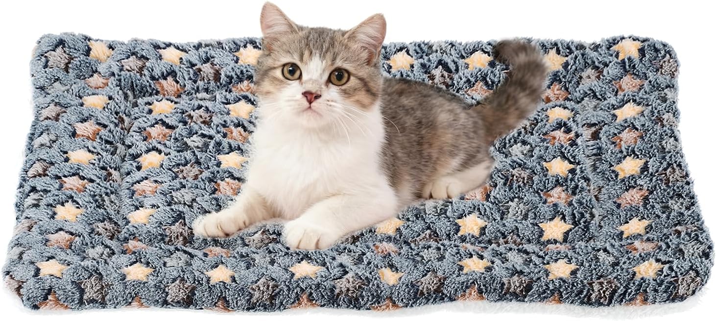 Dual-purpose cat and dog mat