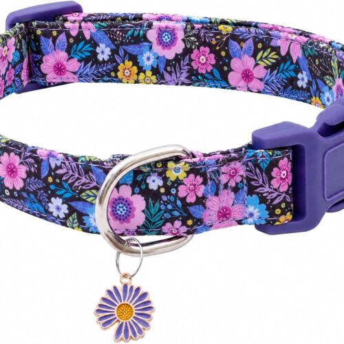 Cotton Dog Collar, Purple Floral Pattern