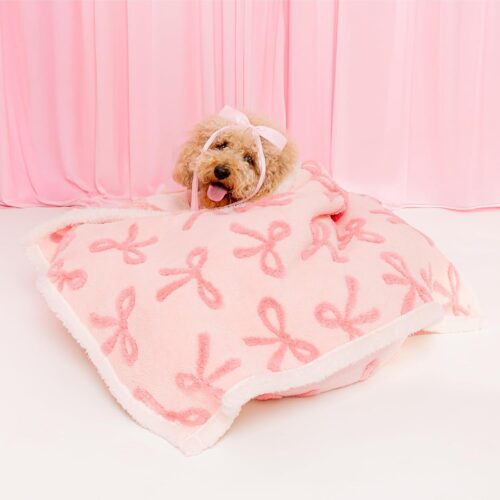 Waterproof puppy blanket for small dogs