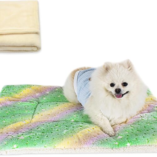 Dual-purpose cat and dog mat and blanket set
