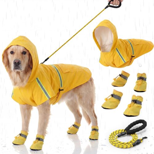 Yellow Raincoat Shoes and Leash Set