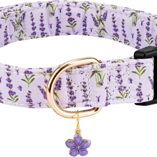 Personalized Dog Collar with Safety Buckle, Cherry Pattern