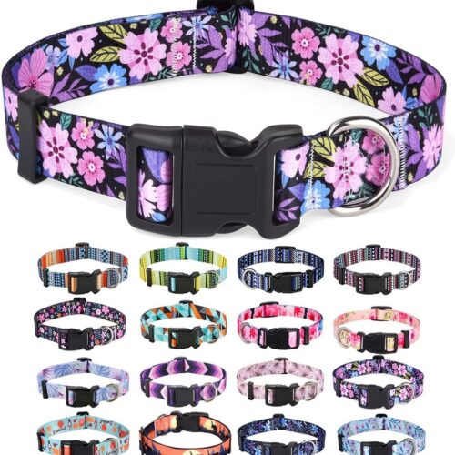 Floral Print Dog Collar