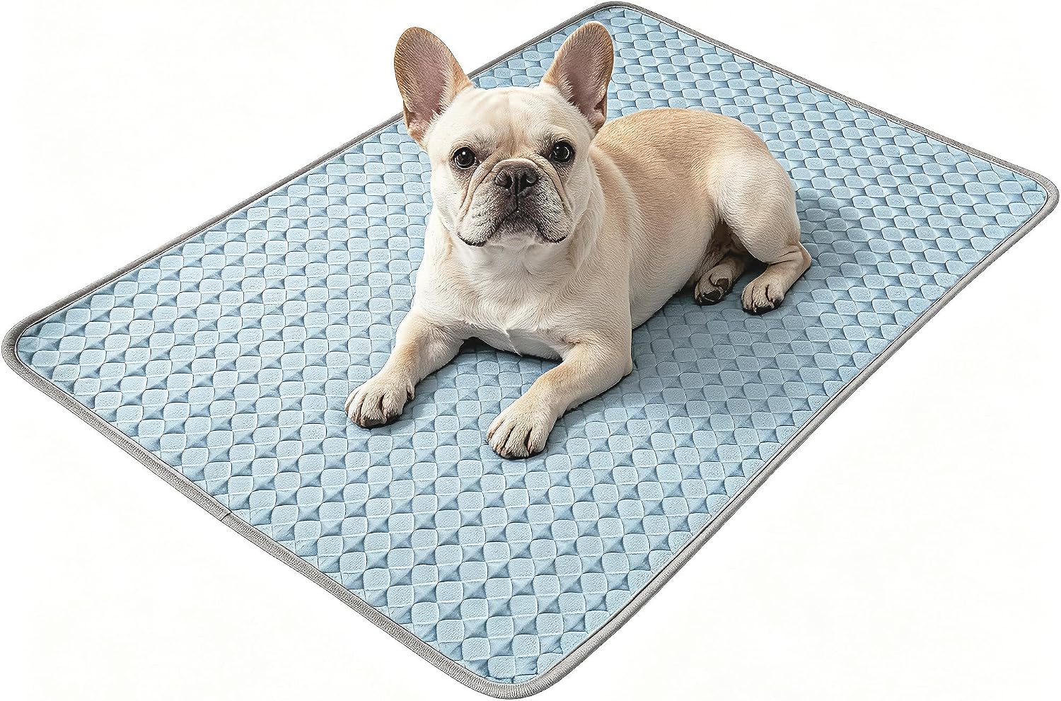 Summer Cooling Mat for Cats and Dogs